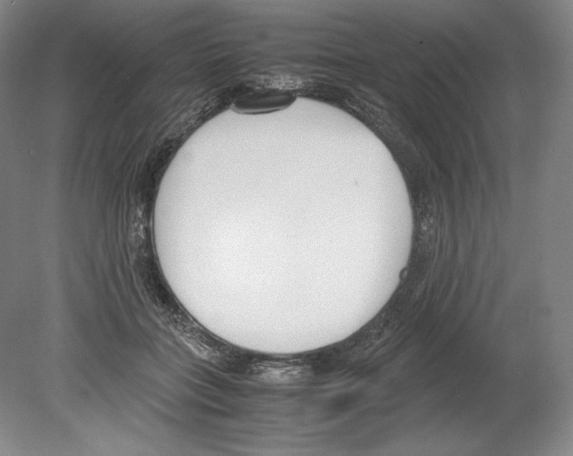 X0000080170555200701051634