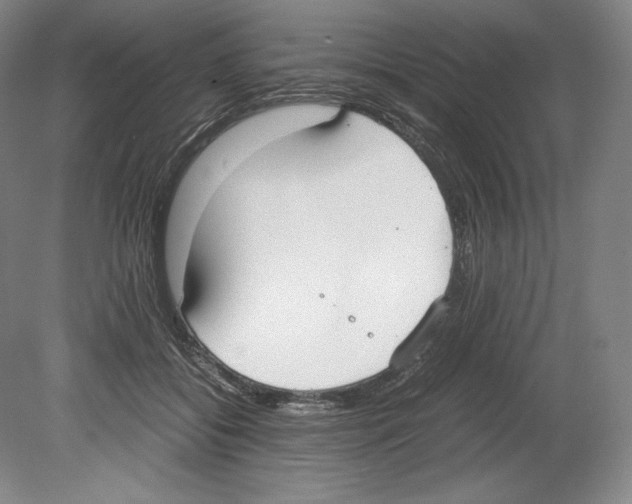 X0000080170556200701051634