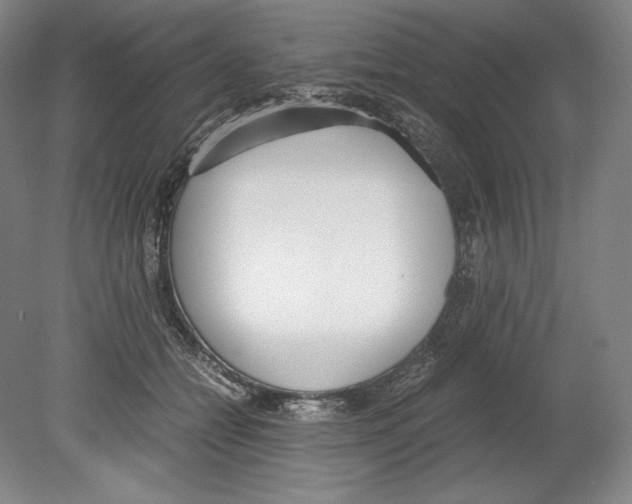 X0000080170558200701051634