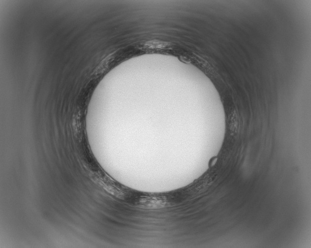 X0000080170559200701051634