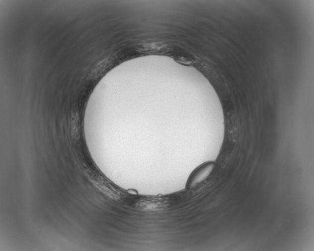 X0000080170563200701051634