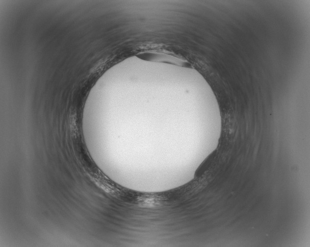 X0000080170564200701051634