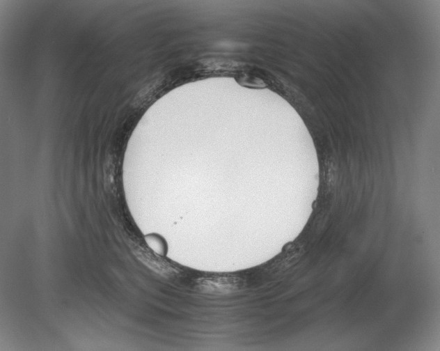 X0000080170567200701051634