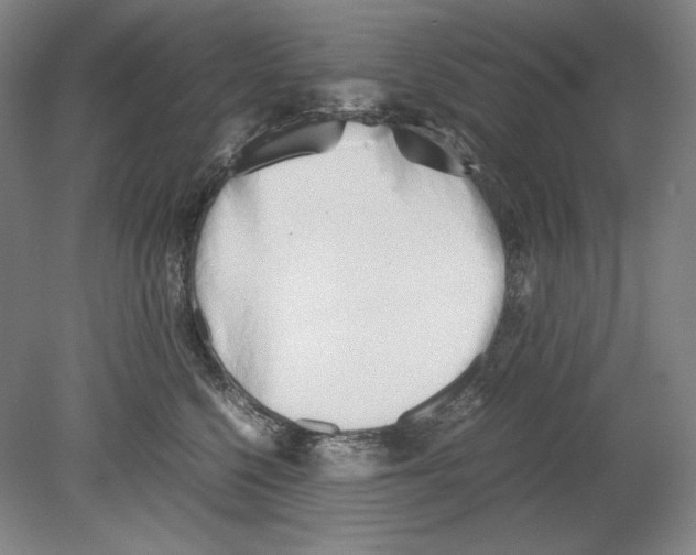X0000080170568200701051634
