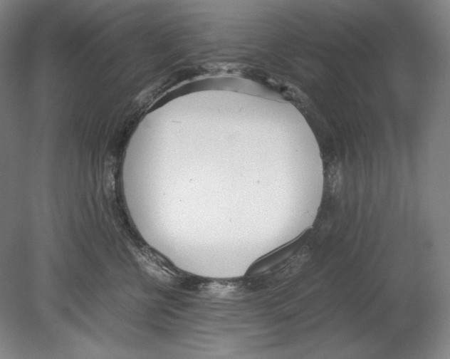 X0000080170570200701051634