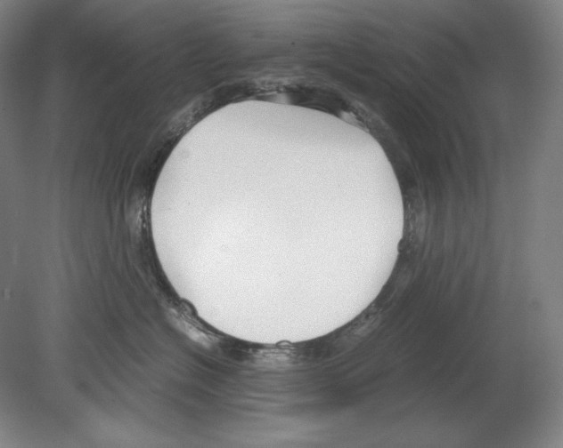 X0000080170574200701051634