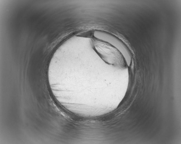 X0000080170577200701051633