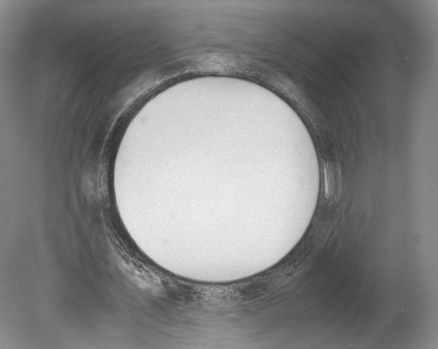 X0000080170579200701051633