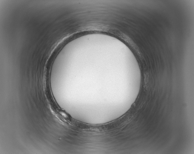 X0000080170580200701051633