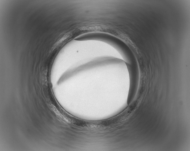 X0000080170585200701051633