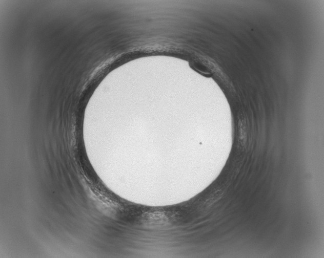 X0000080170588200701051633