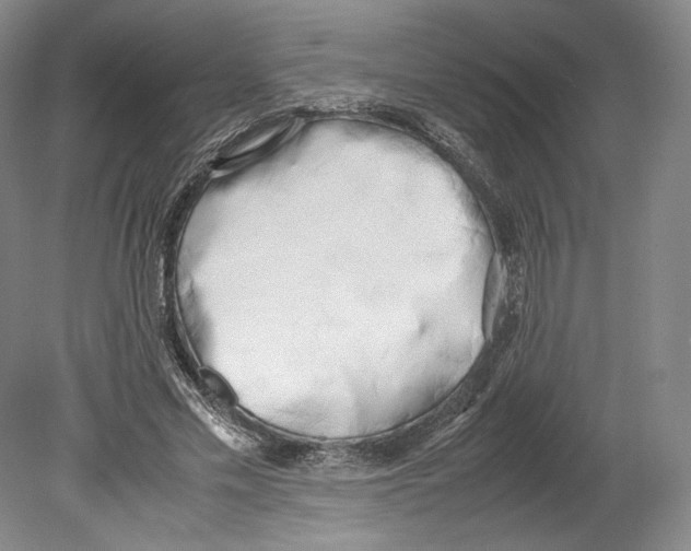 X0000080170589200701051633