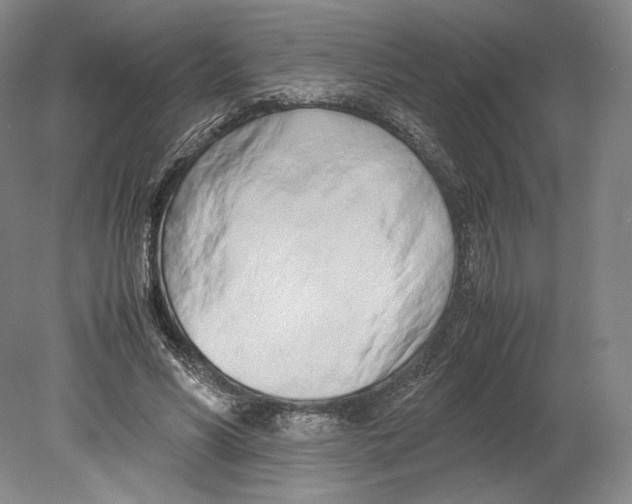 X0000080170590200701051633