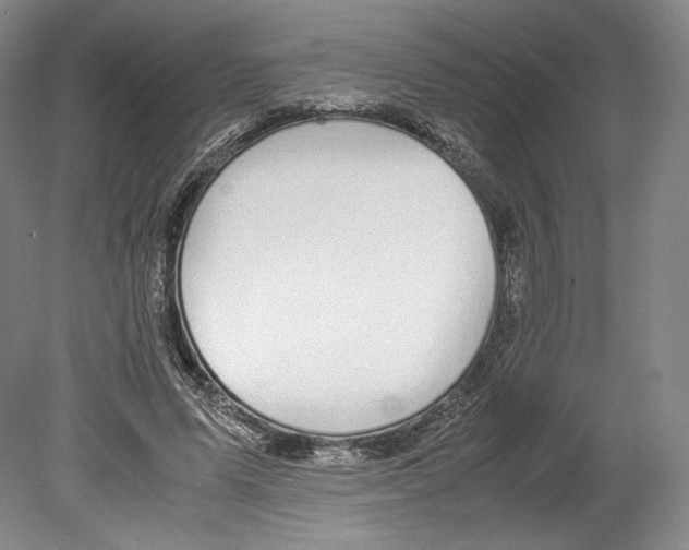 X0000080170591200701051633