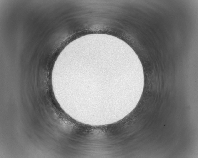 X0000080170592200701051633
