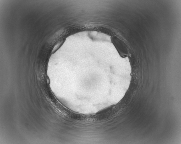 X0000080170593200701051633