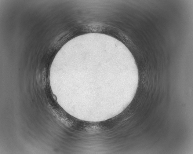 X0000080170594200701051633