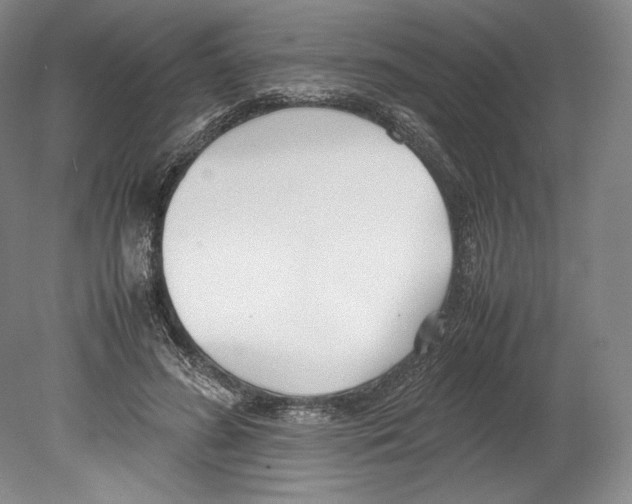 X0000080170596200701051633