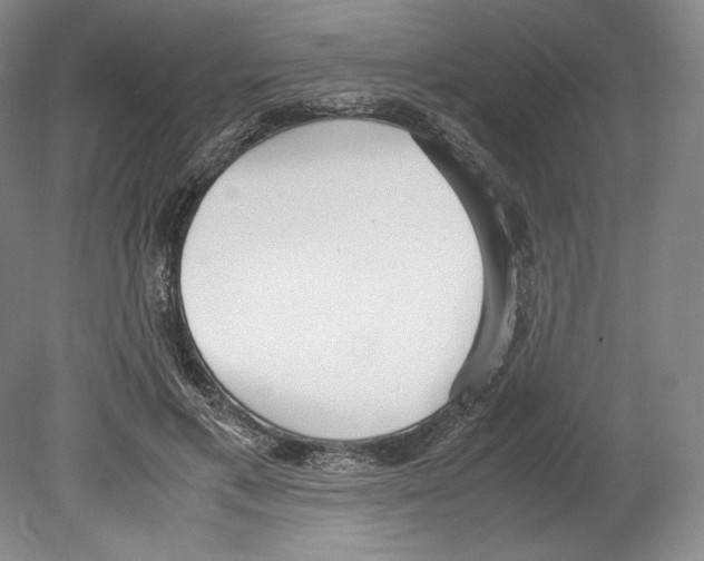 X0000080170597200701051633