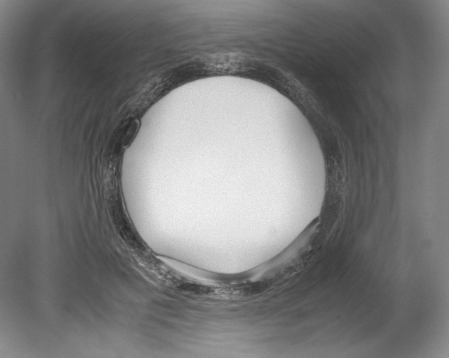 X0000080170601200701051633