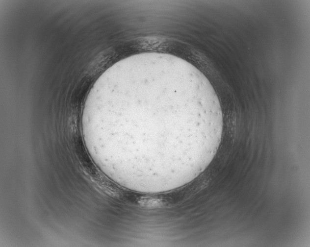 X0000080170602200701051633
