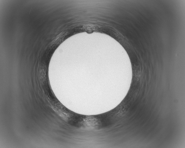 X0000080170603200701051633