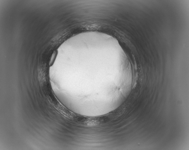 X0000080170604200701051633