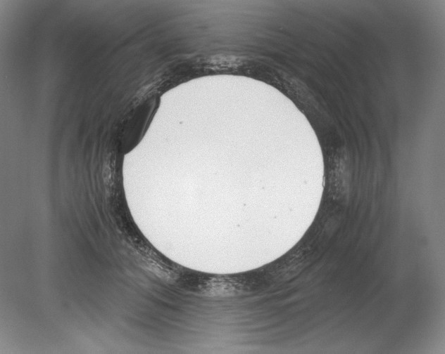 X0000080170608200701051633
