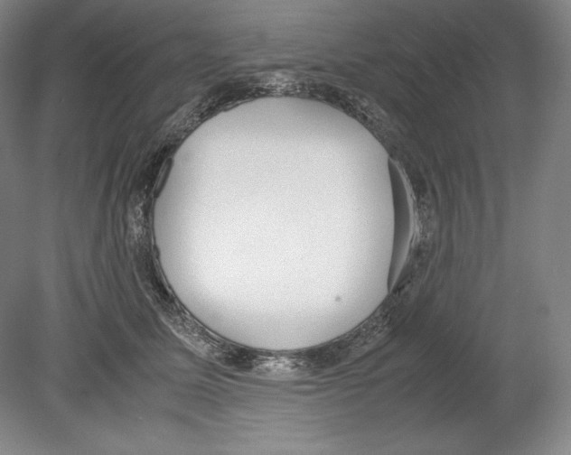 X0000080170611200701051633
