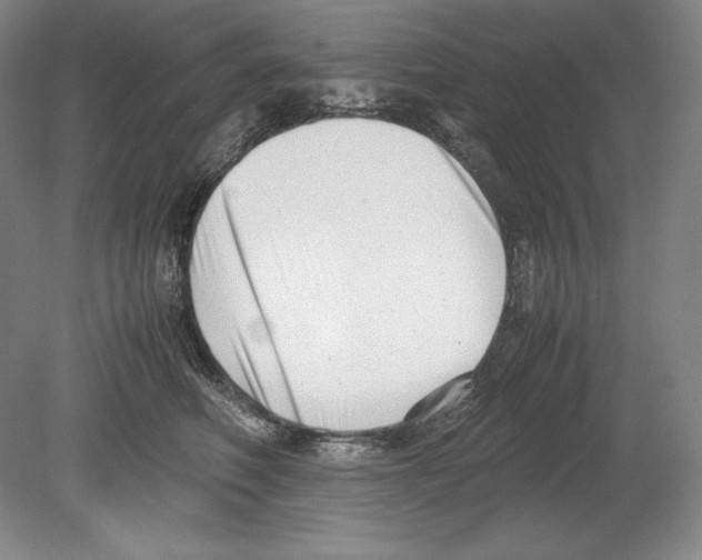 X0000080170614200701051633