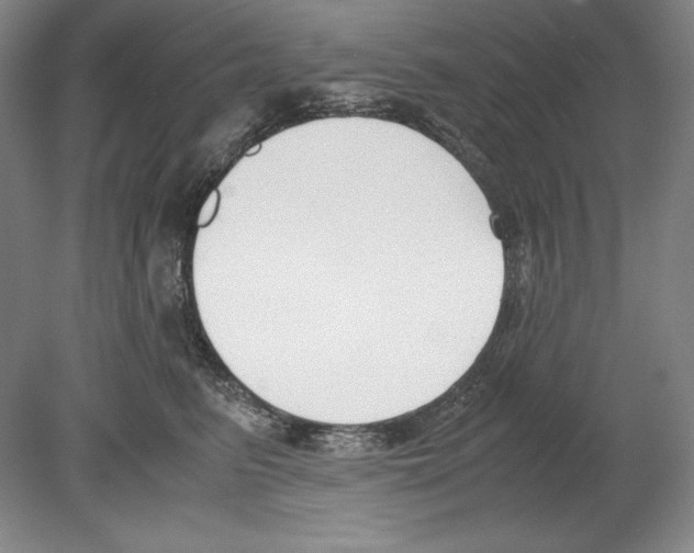 X0000080170615200701051633