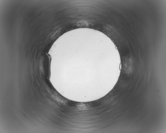 X0000080170616200701051633