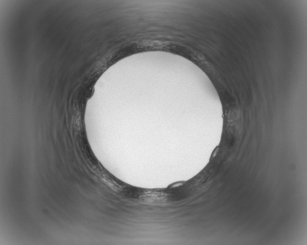 X0000080170617200701051633