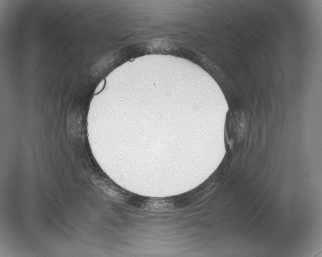 X0000080170619200701051633
