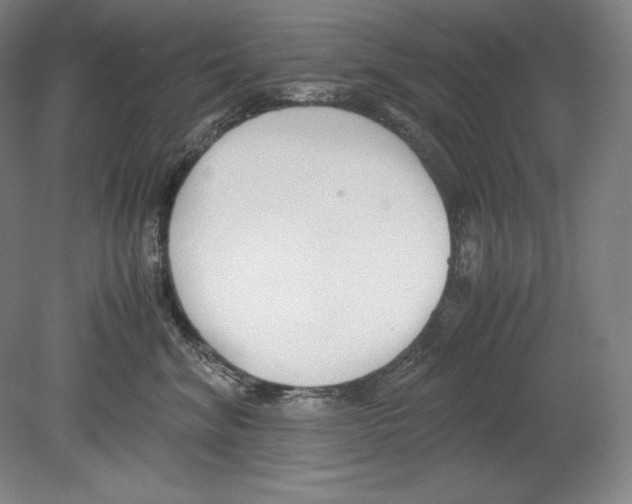X0000080170620200701051633