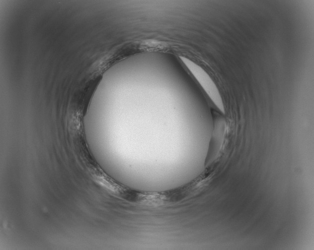 X0000080170621200701051633