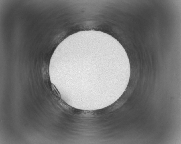 X0000080170624200701051633