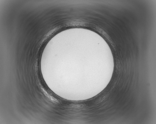 X0000080170629200701051632