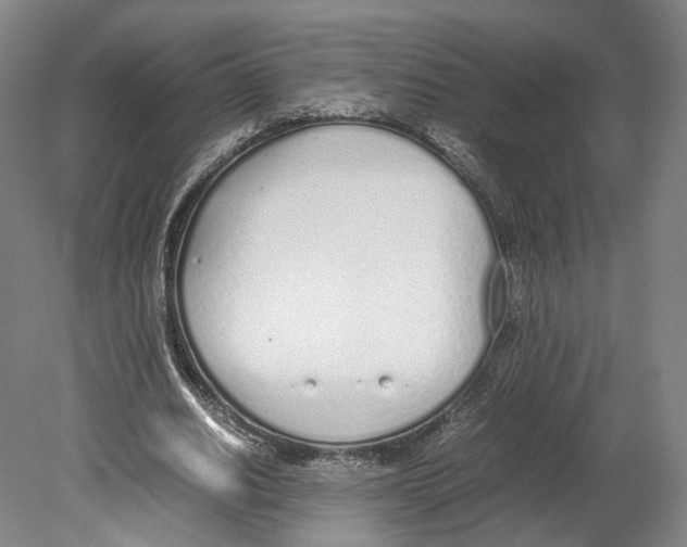 X0000080170630200701051632