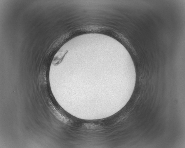 X0000080170633200701051632