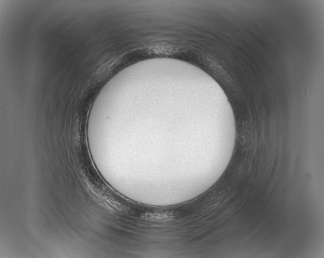 X0000080170639200701051632