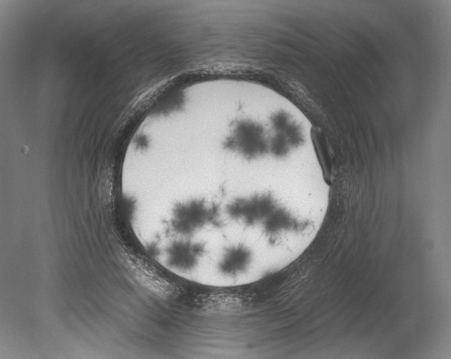 X0000080170640200701051632