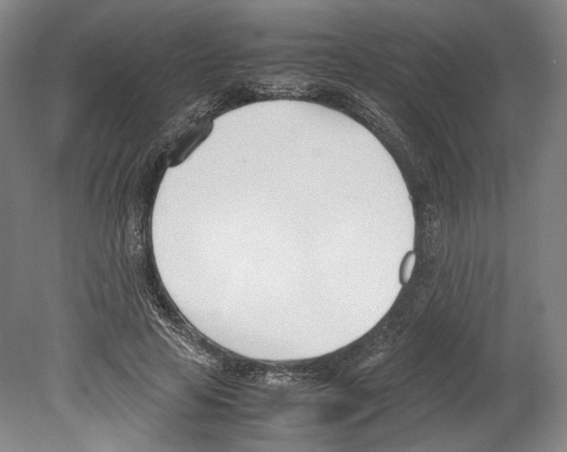 X0000080170641200701051632