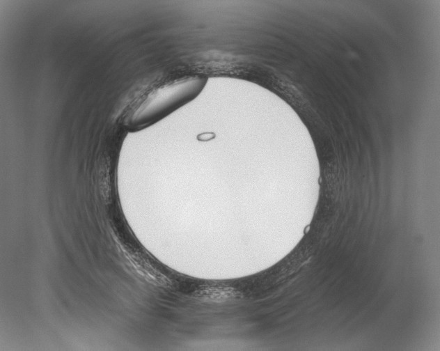 X0000080170642200701051632