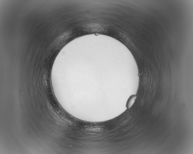 X0000080170643200701051632