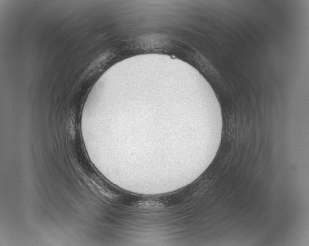 X0000080170644200701051632