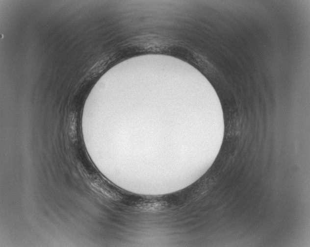 X0000080170646200701051632