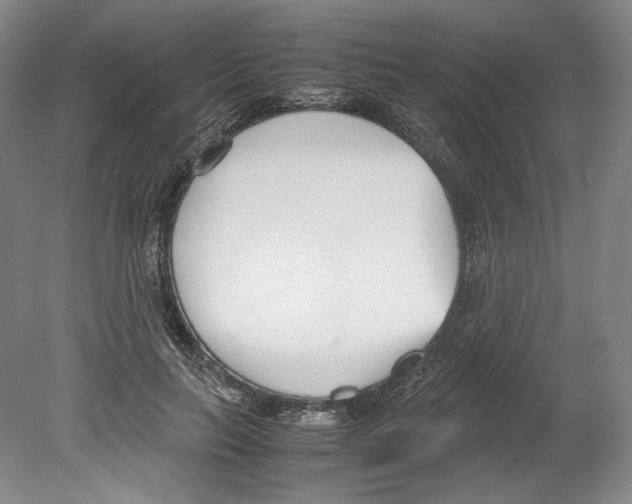 X0000080170647200701051632
