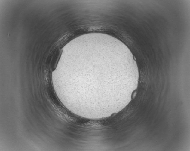 X0000080170648200701051632