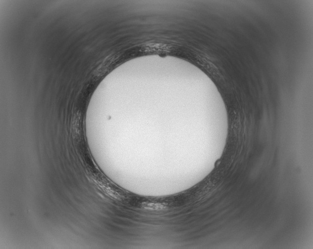 X0000080170649200701051632